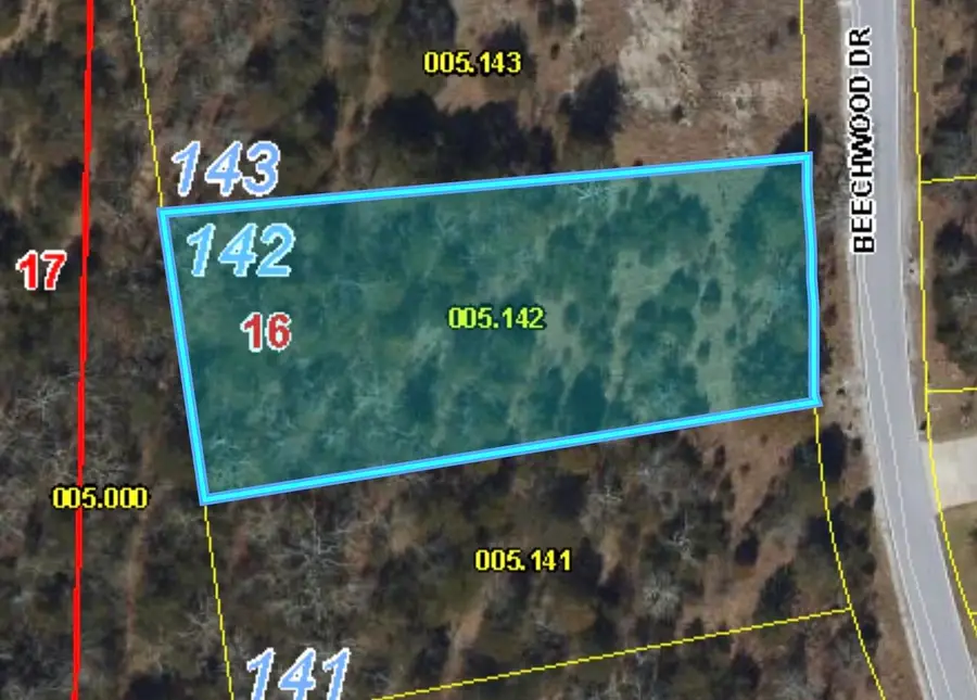 272 Beechwood Drive, Branson West, MO 65737 - #2
