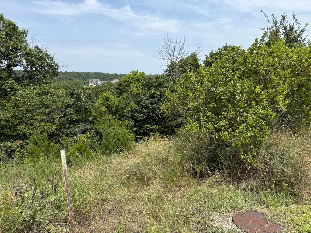 121 Gemstone Drive, Branson West, MO 65737 - #1