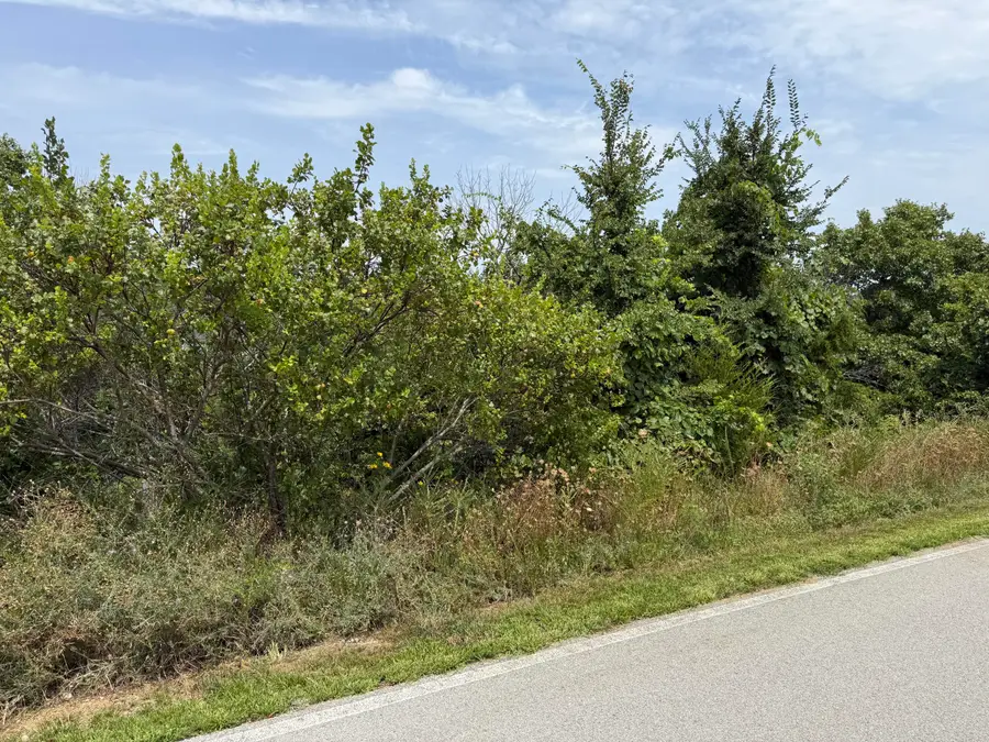 121 Gemstone Drive, Branson West, MO 65737 - #2