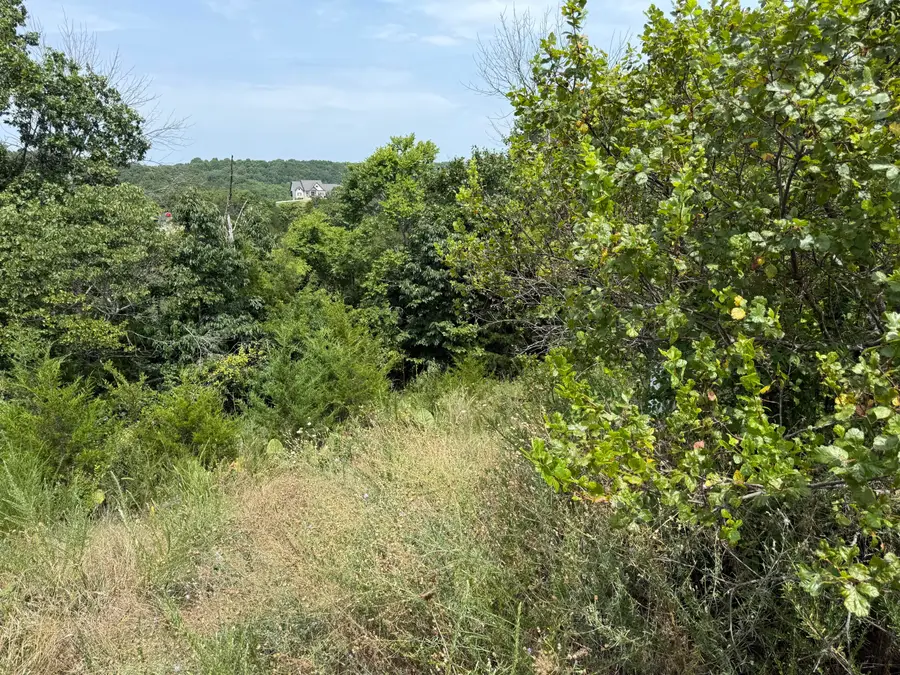 121 Gemstone Drive, Branson West, MO 65737 - #3
