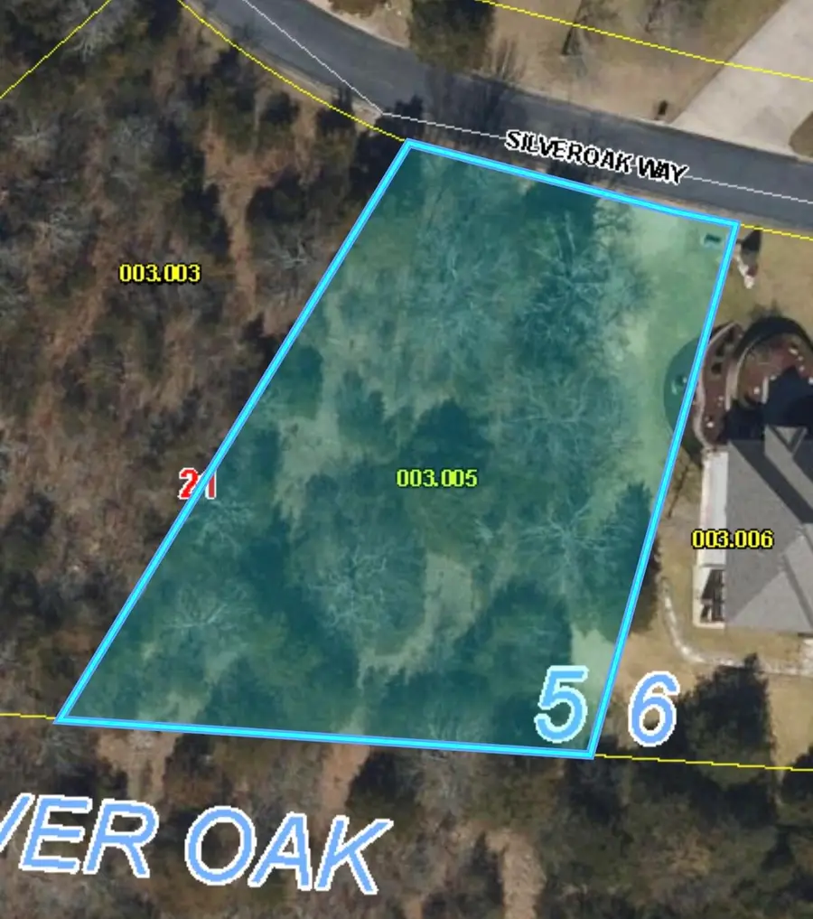 5 Silver Oak Way, Branson West, MO 65737 - #2