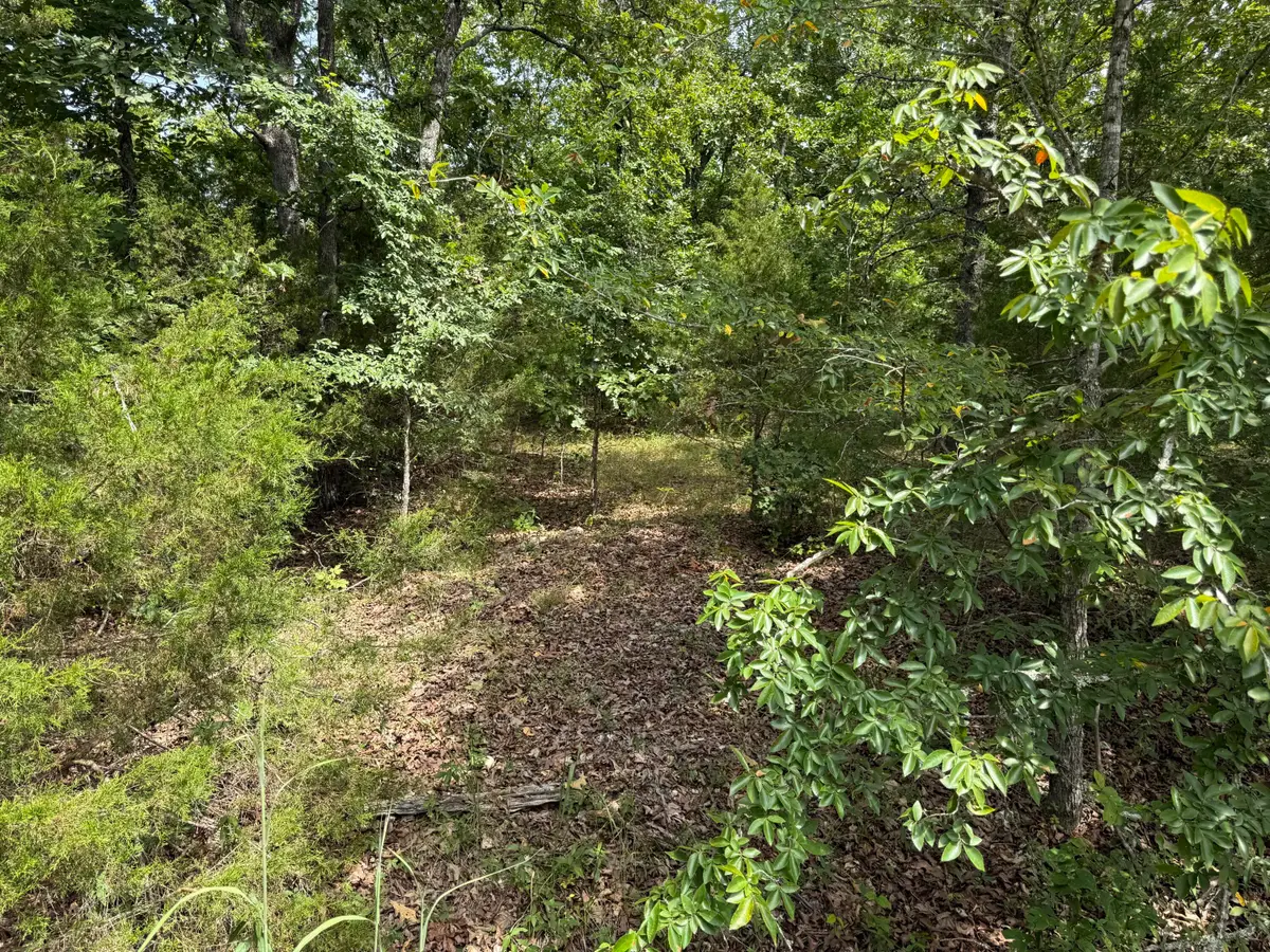 55 Cattail Court, Branson West, MO 65737 - #1