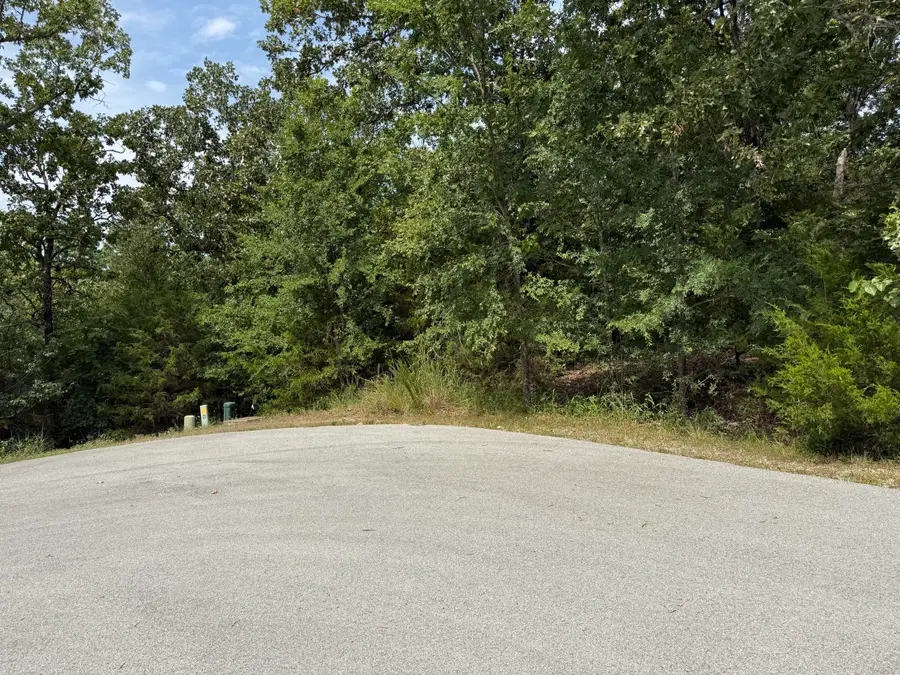 55 Cattail Court, Branson West, MO 65737 - #3