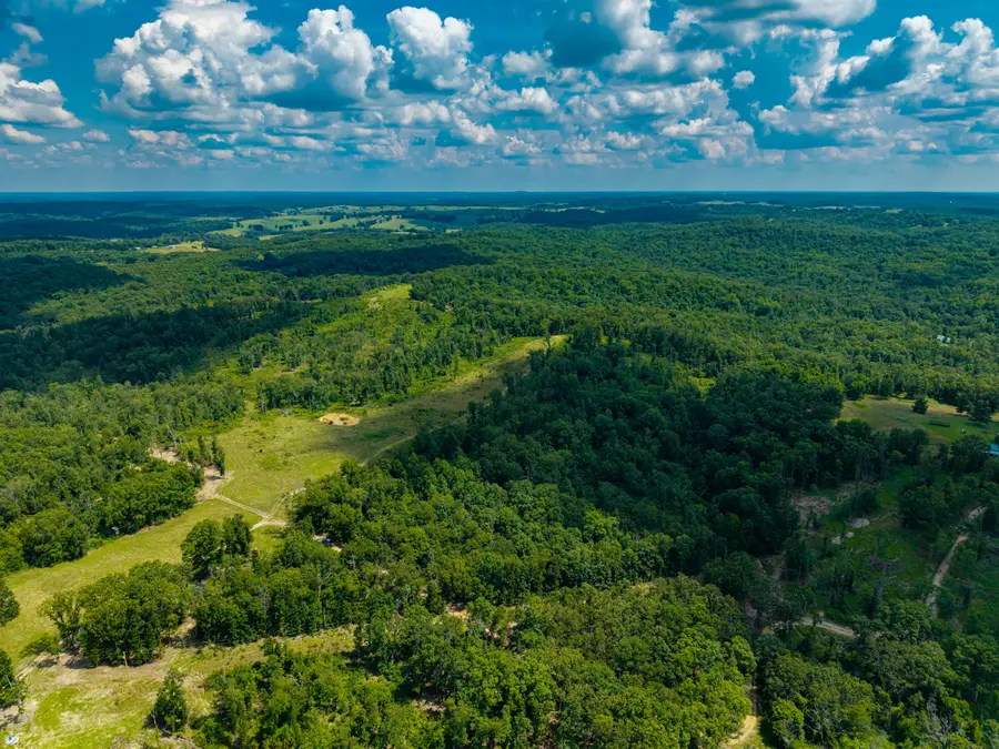 000 Berry Road, Cabool, MO 65689 - #2