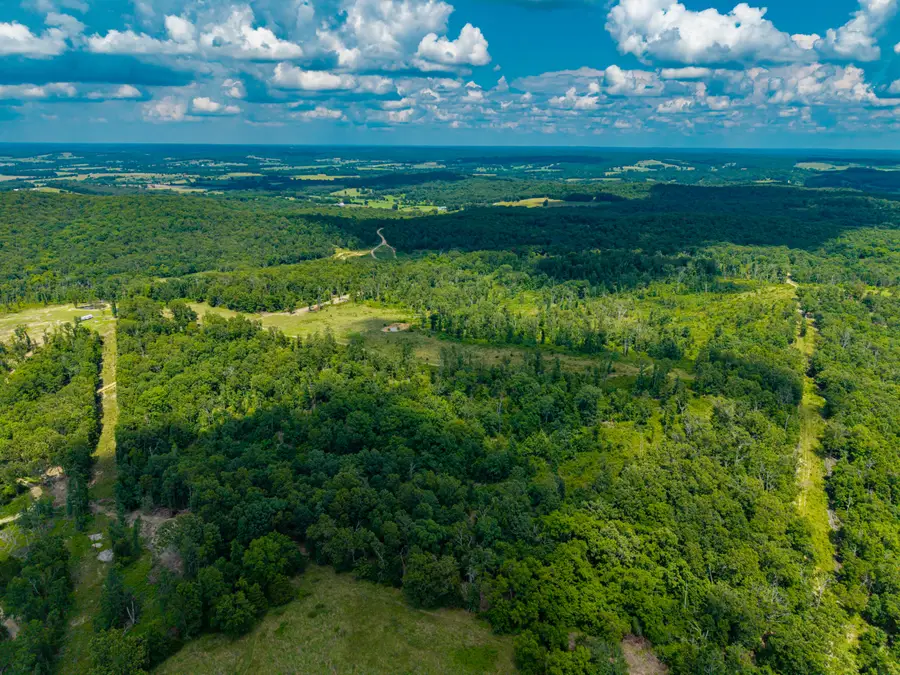 000 Berry Road, Cabool, MO 65689 - #3