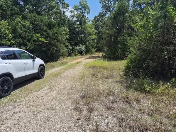 000 Shady Lane, Protem, MO 65733