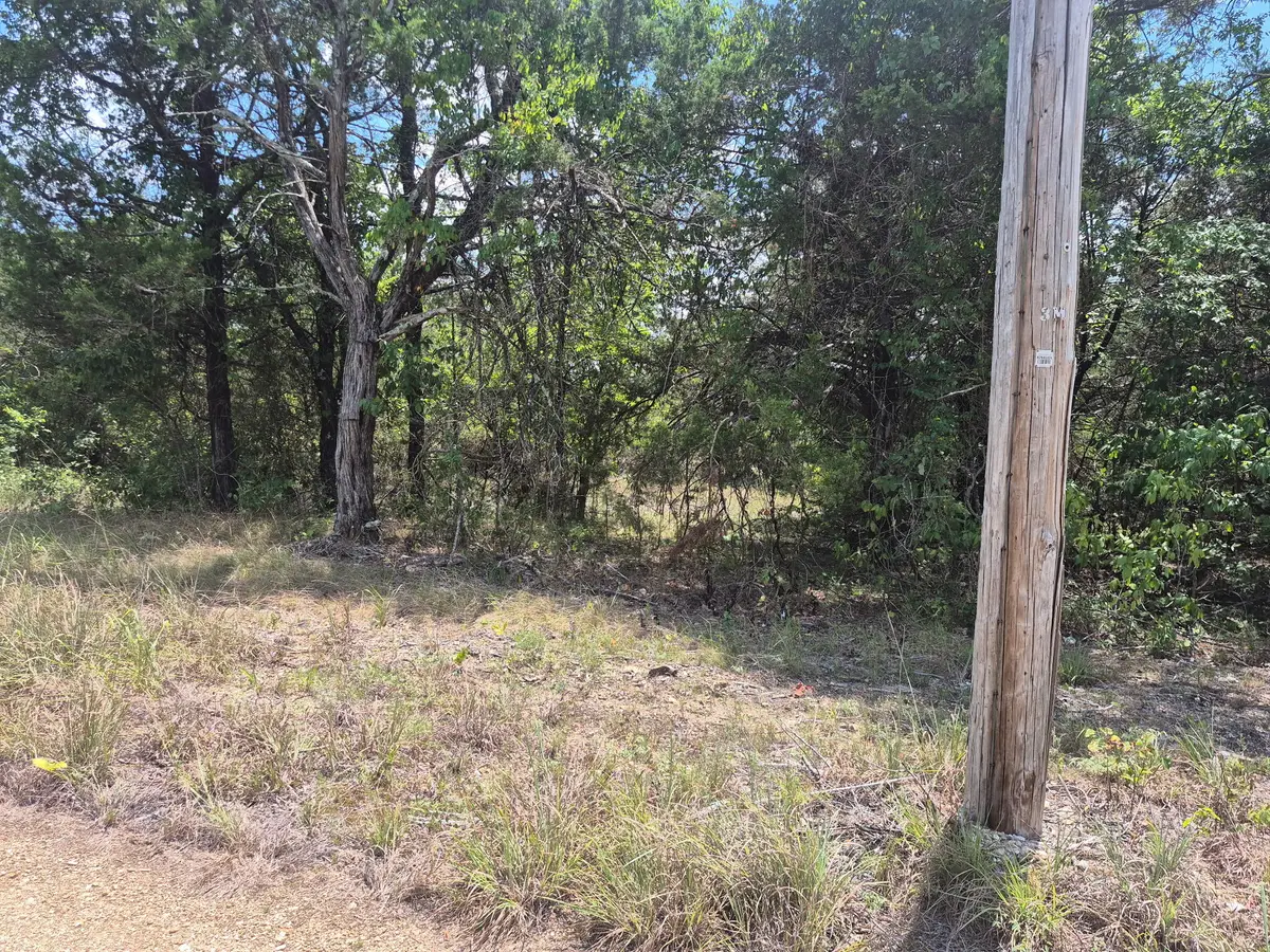 000 Deer Run Avenue, Protem, MO 65733 - #1