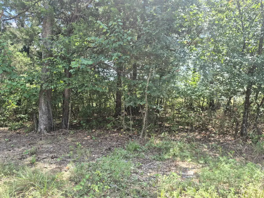 000 Deer Run Avenue, Protem, MO 65733 - #2