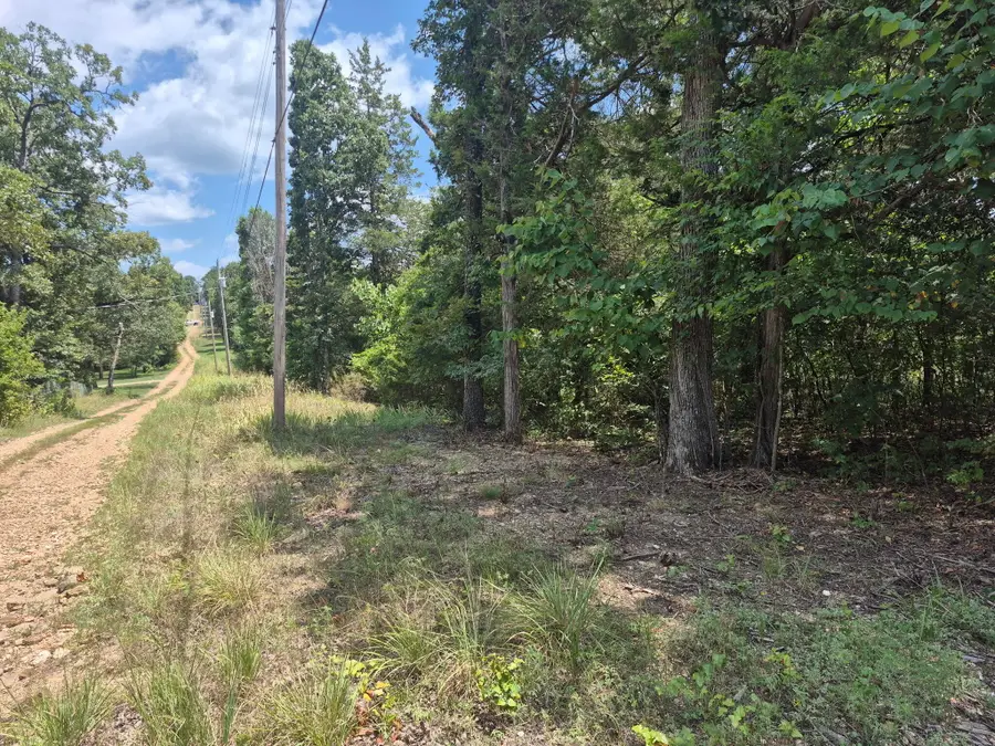 000 Deer Run Avenue, Protem, MO 65733 - #3