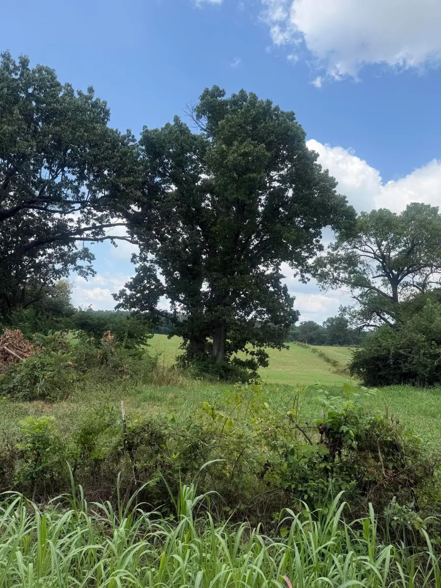 000 Sorrell Road #000, Stella, MO 64867 - #2