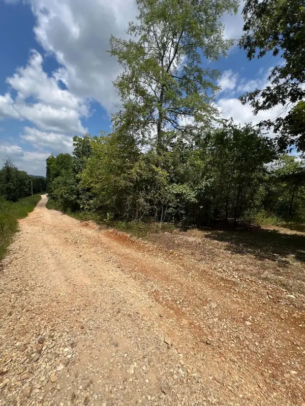 000 Chalet Lane, Eagle Rock, MO 65641