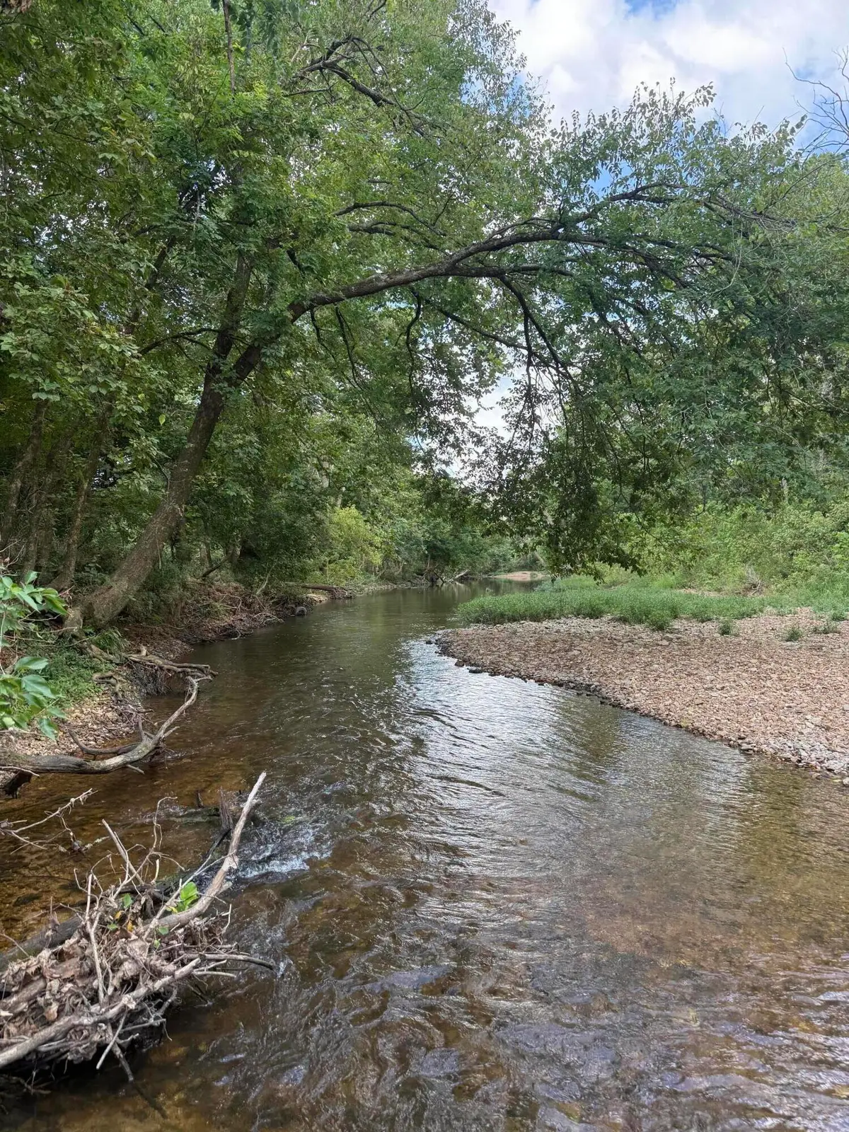 000 Highway 63, Houston, MO 65483 - #1
