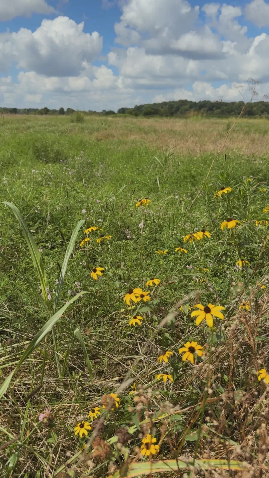 000 Highway 63, Houston, MO 65483 - #2