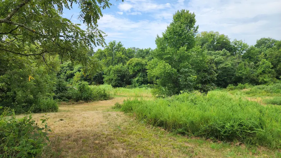 000 Rail Hollow Road, Theodosia, MO 65761 - #2