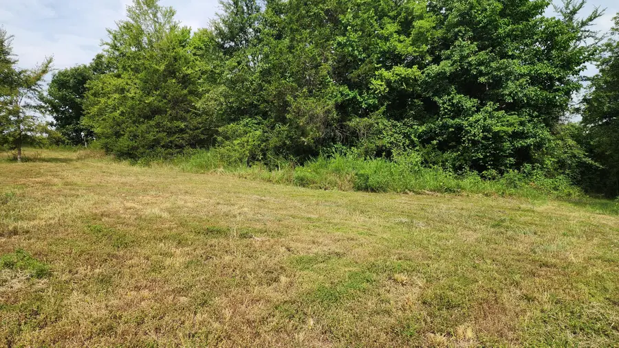 000 Rail Hollow Road, Theodosia, MO 65761 - #3