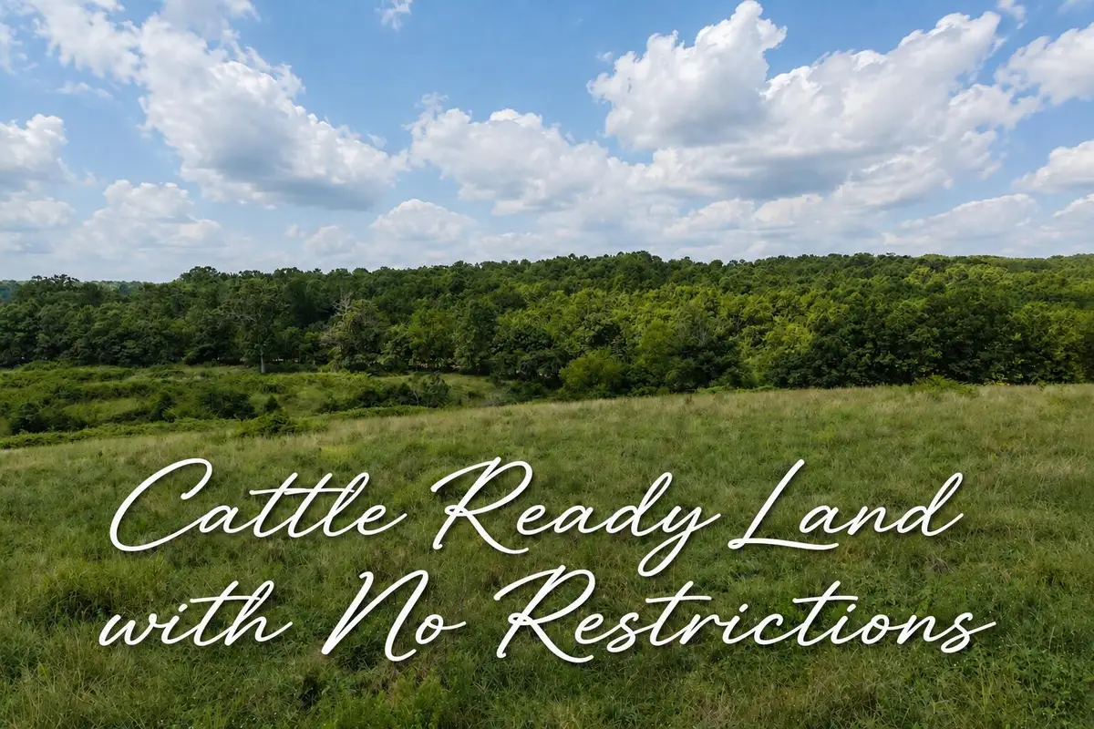 Tbd E State Highway, Hartville, MO 65667 - #1