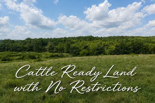 Tbd E State Highway, Hartville, MO 65667