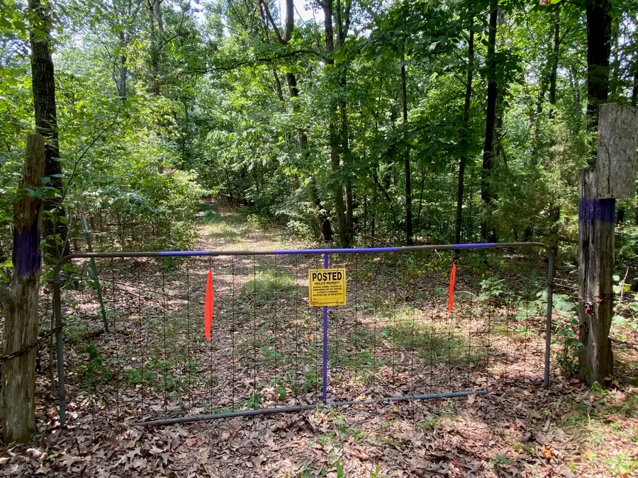 6775 State Highway 173, Cape Fair, MO 65624 - #2