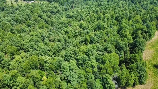 000 County Road 434, Birch Tree, MO 65438 - #2