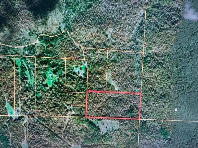000 County Road 434, Birch Tree, MO 65438 - #1