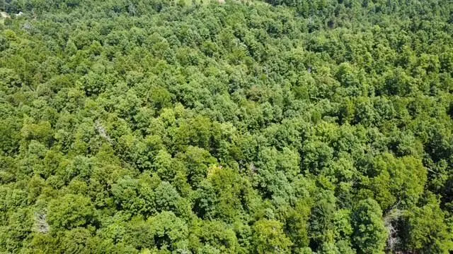 000 County Road 434, Birch Tree, MO 65438 - #2