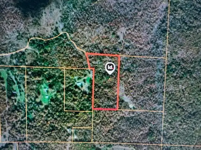 000 County Road 434, Birch Tree, MO 65438 - #1