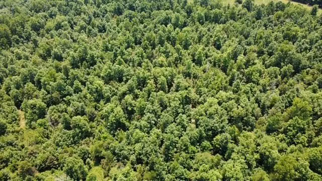 000 County Road 434, Birch Tree, MO 65438 - #3
