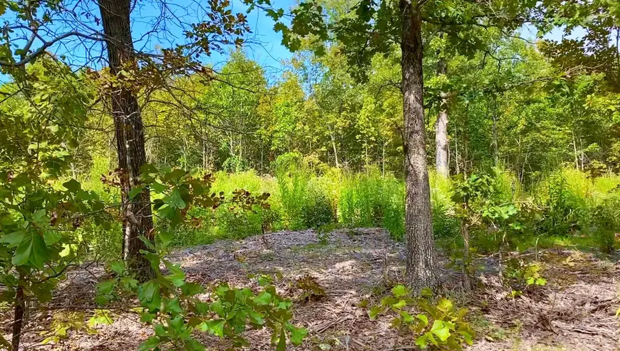 000 Db Tract 23, Pomona, MO 65789 - #2