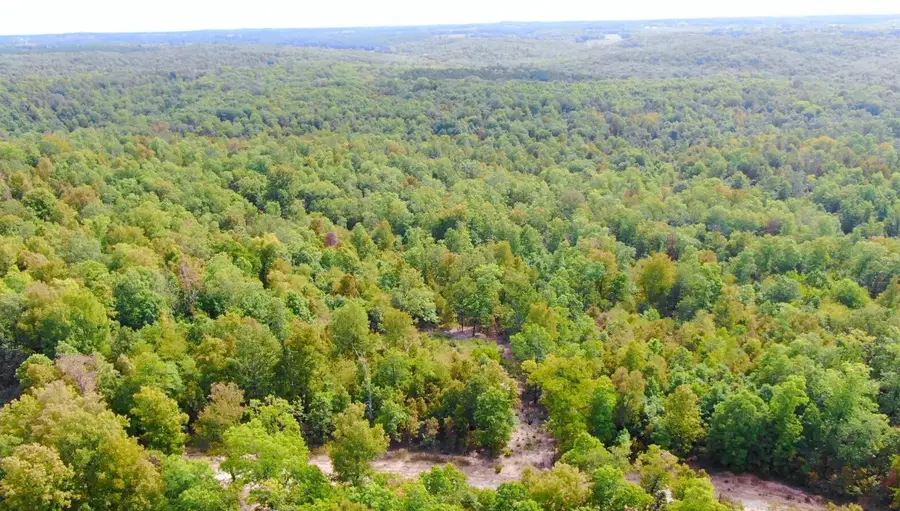 000 Db Tract 23, Pomona, MO 65789 - #3