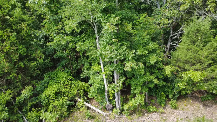 632 Private Road 421-35, West Plains, MO 65775 - #3