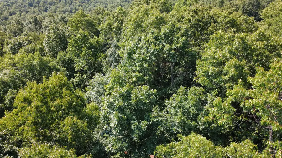 000 Private Road 421-35, West Plains, MO 65775 - #2