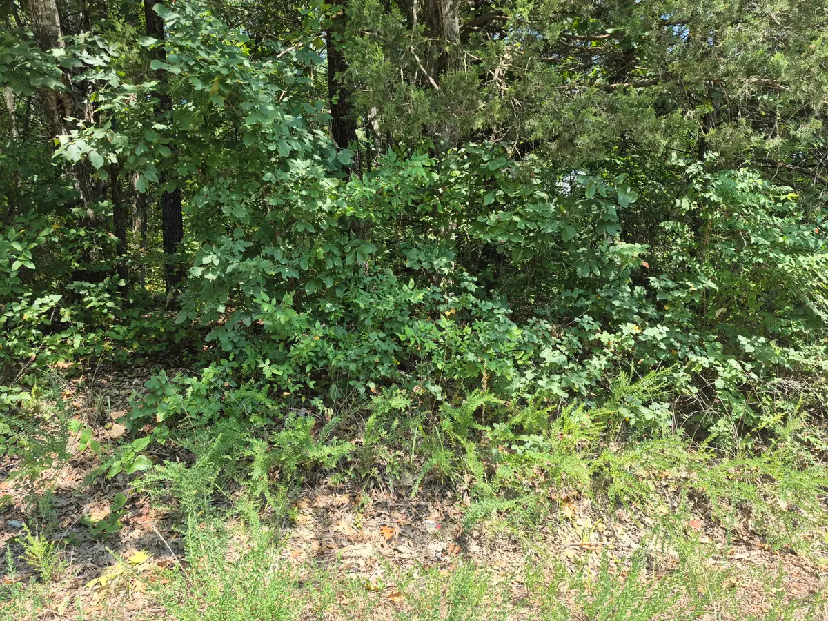 Lots 5 & 6 East Gate Road, Merriam Woods, MO 65740 - #1