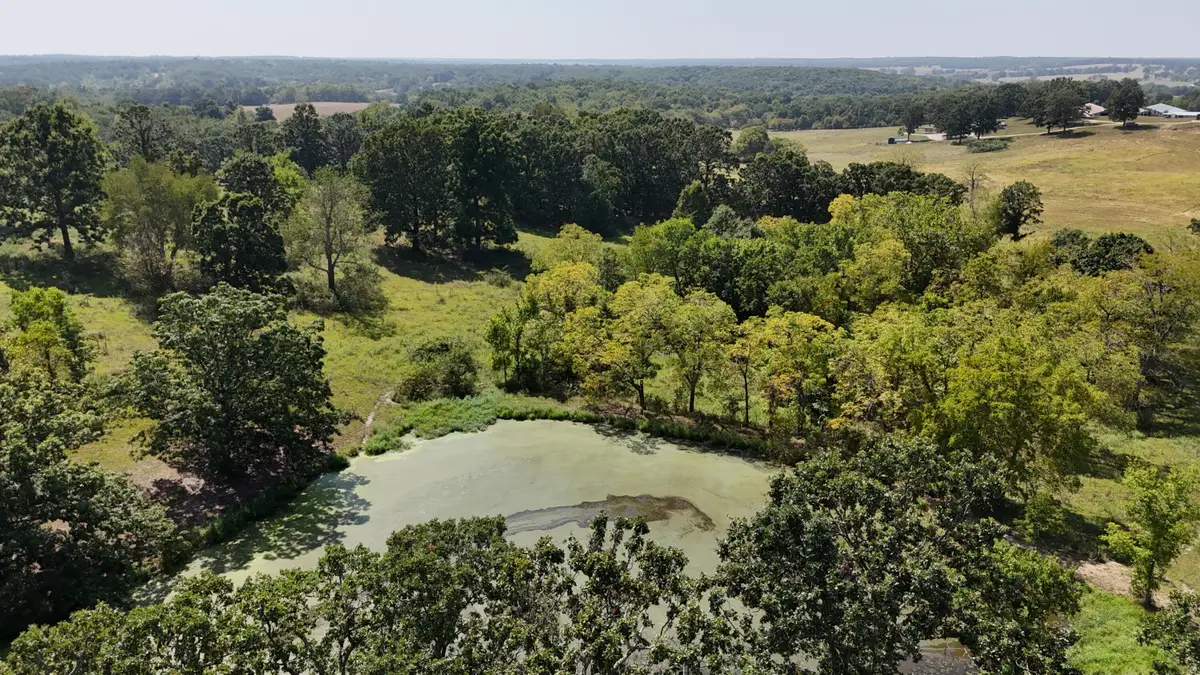 24770 Juniper Road, Lebanon, MO 65536 - #1