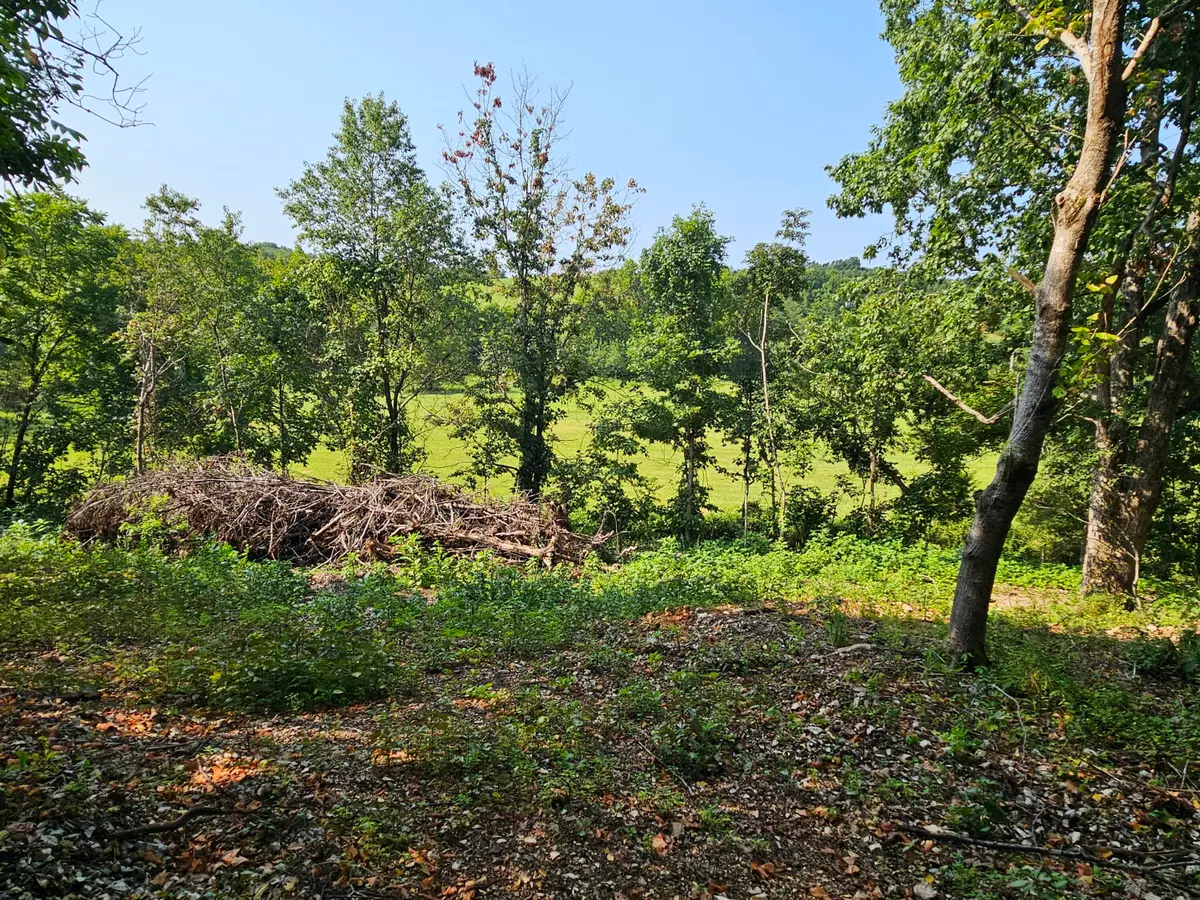 000 Mclean Road, Ozark, MO 65721 - #1