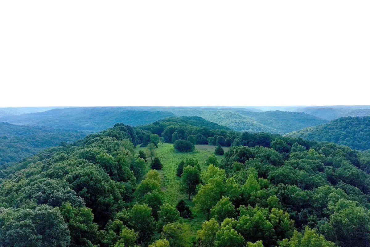 000 Red Bridge Rd, Ozark, MO 65721 - #1