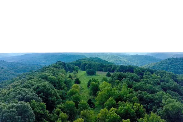 000 Red Bridge Rd, Ozark, MO 65721