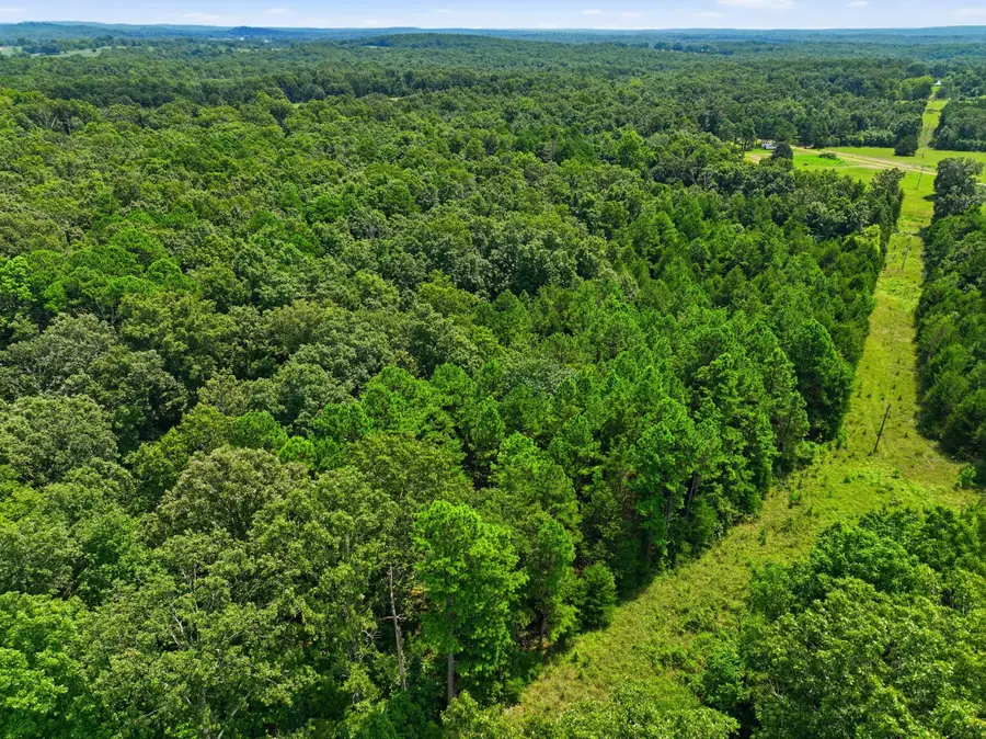 000 State Route 181, Cabool, MO 65689 - #2