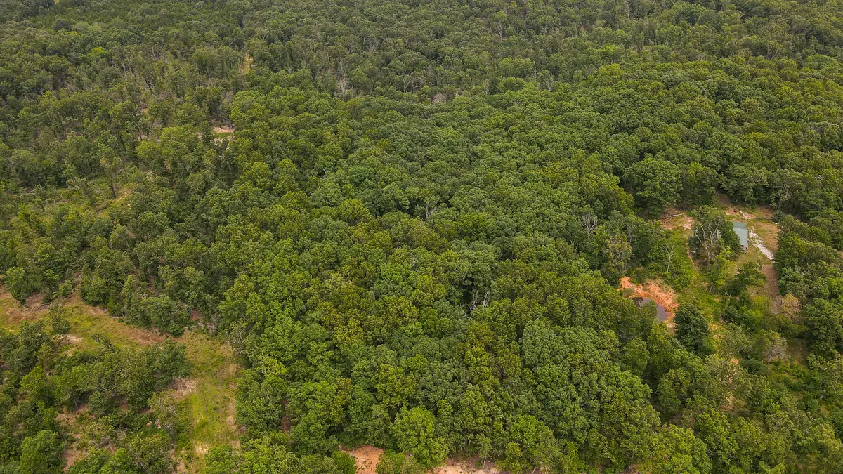 000 Sappington Lane, Falcon, MO 65470 - #1