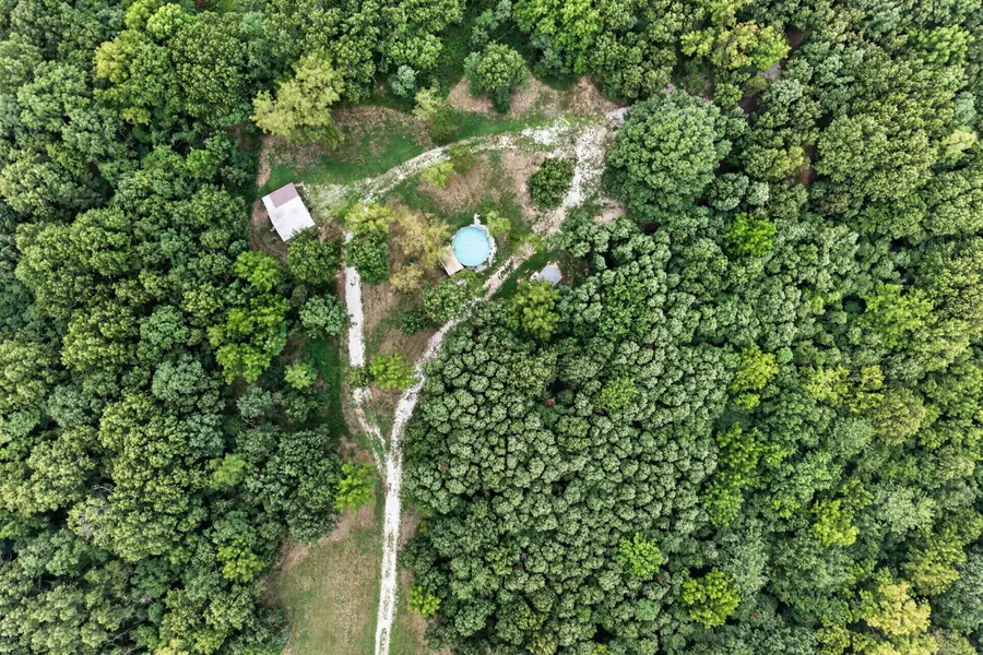 517 County Road 171, Greenfield, MO 65661 - #2