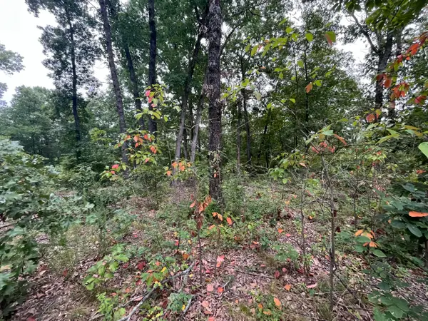 000 Partridge Drive, Climax Springs, MO 65324