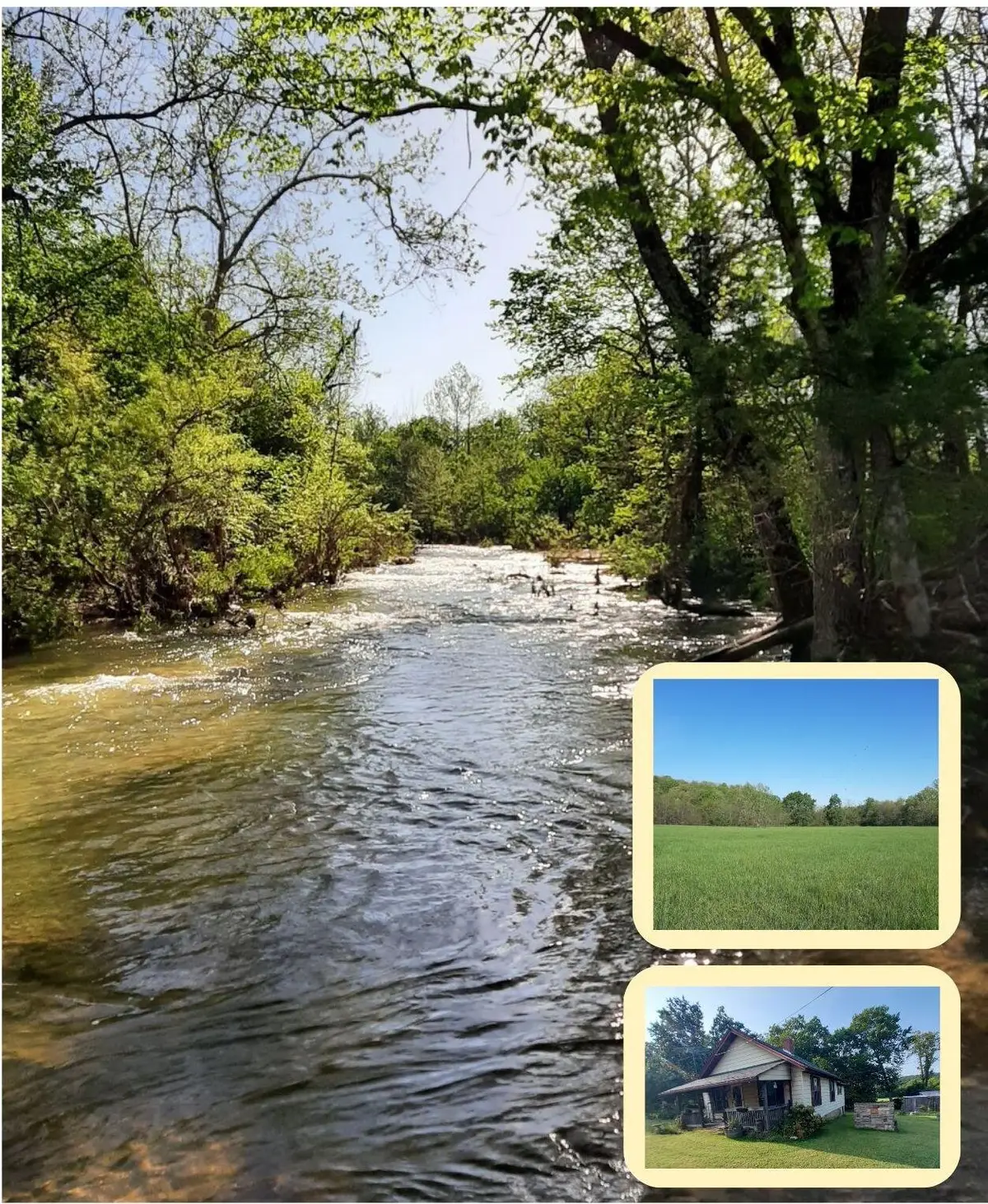 1535 W Elderberry Lane, Brighton, MO 65617 - #1