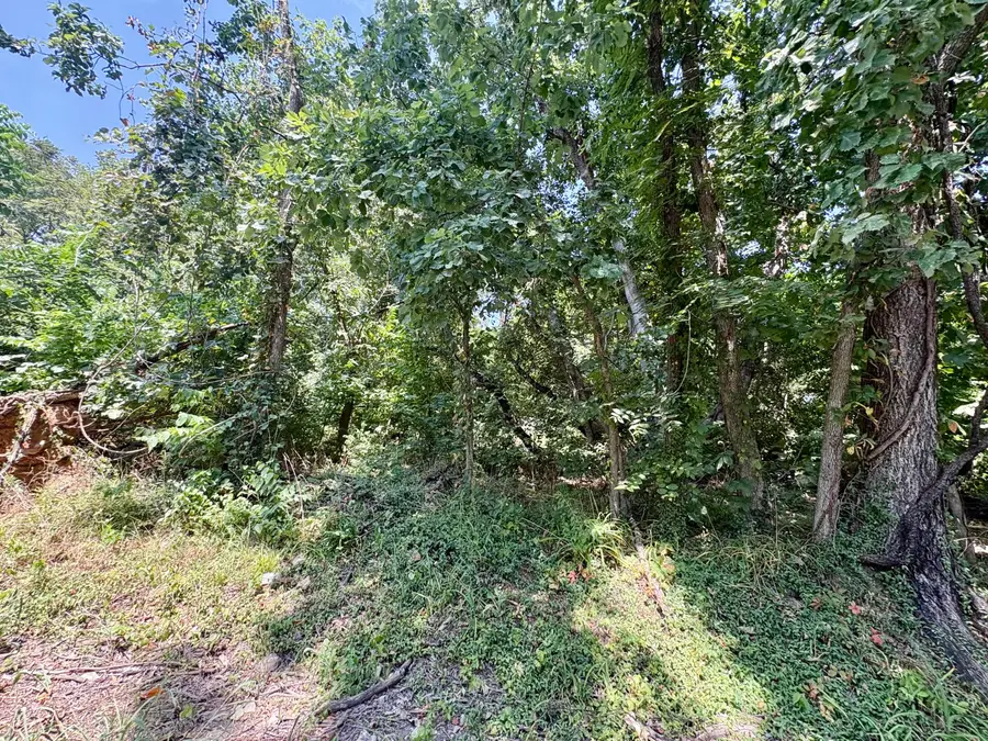 665 Meng Street, Greenfield, MO 65661 - #2
