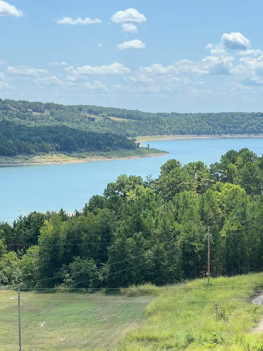 19 Lakeview Drive, Theodosia, MO 65761 - #2