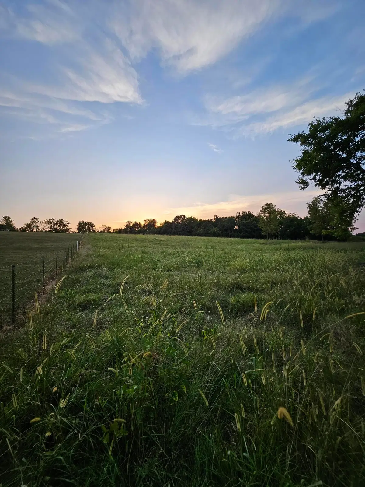 000 Lawrence 1100, Mount Vernon, MO 65712 - #1