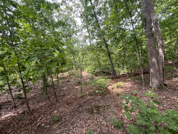 1 Partridge Drive, Climax Springs, MO 65324