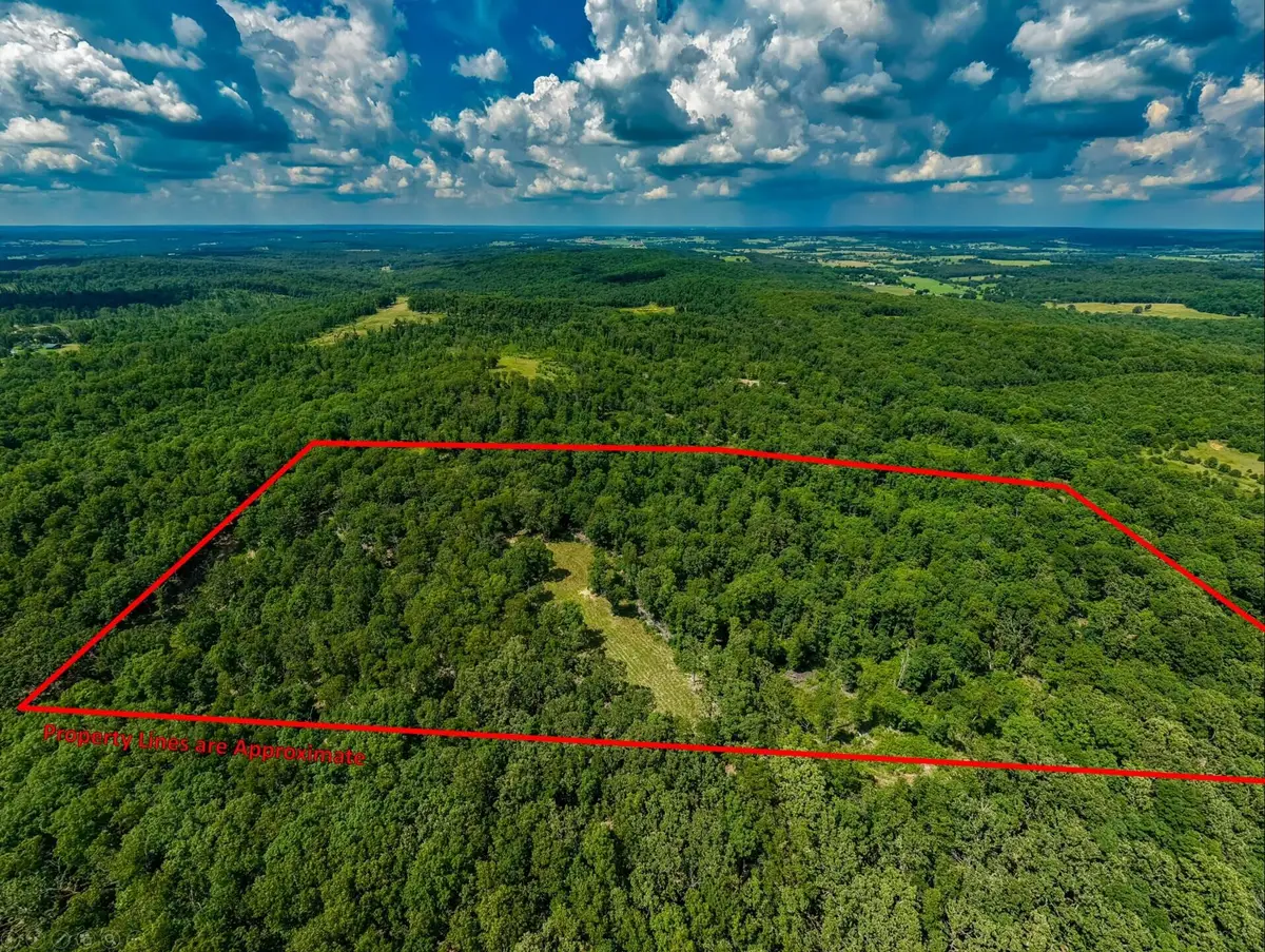 000 Berry Road #S 20, Cabool, MO 65689 - #1