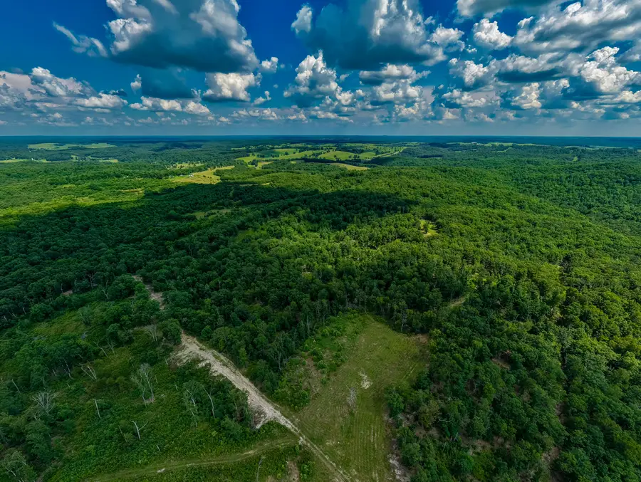 000 Berry Road #N 20, Cabool, MO 65689 - #2