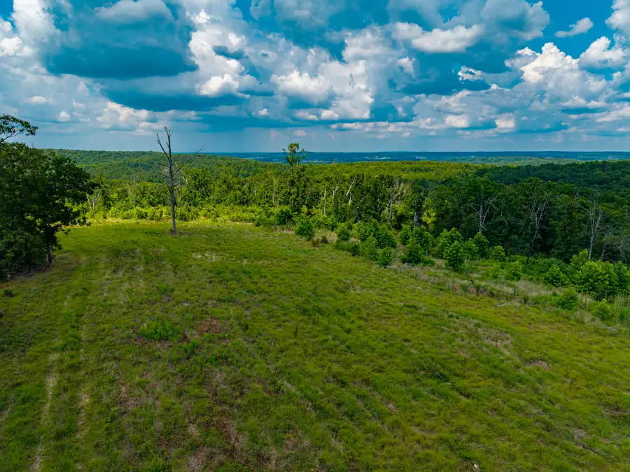 000 Berry Road #N 20, Cabool, MO 65689 - #3