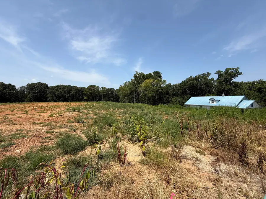 Lot 1 Little Street, Seligman, MO 65745 - #2