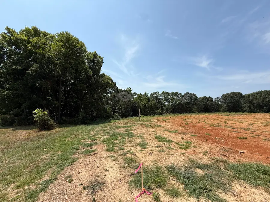 Lot 10 Little Street, Seligman, MO 65745 - #2